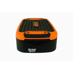 Aerobic step